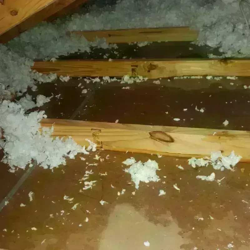 Attic Water Damage in Hartland, WI