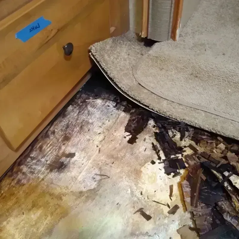 Wood Floor Water Damage in Hartland, WI